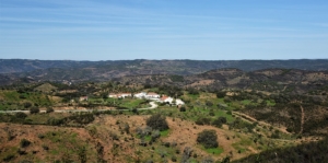 paysage typique d'Algarve