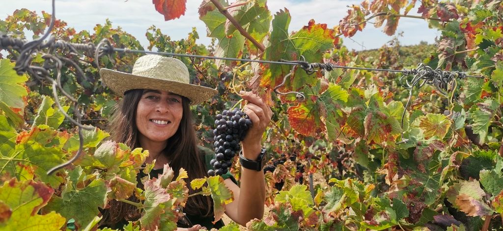 Ribatejo. Vinhos do Tejo